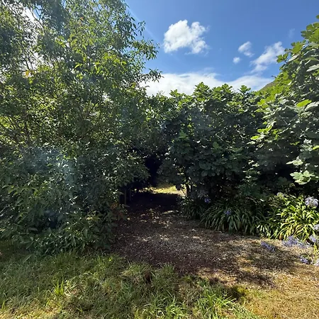 Casa vacanze Casa El Vear